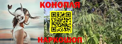 гашик Будённовск