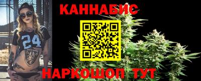 гашик Будённовск