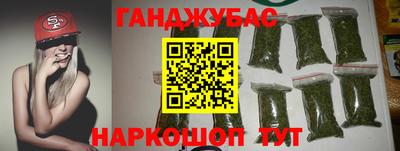 гашик Будённовск