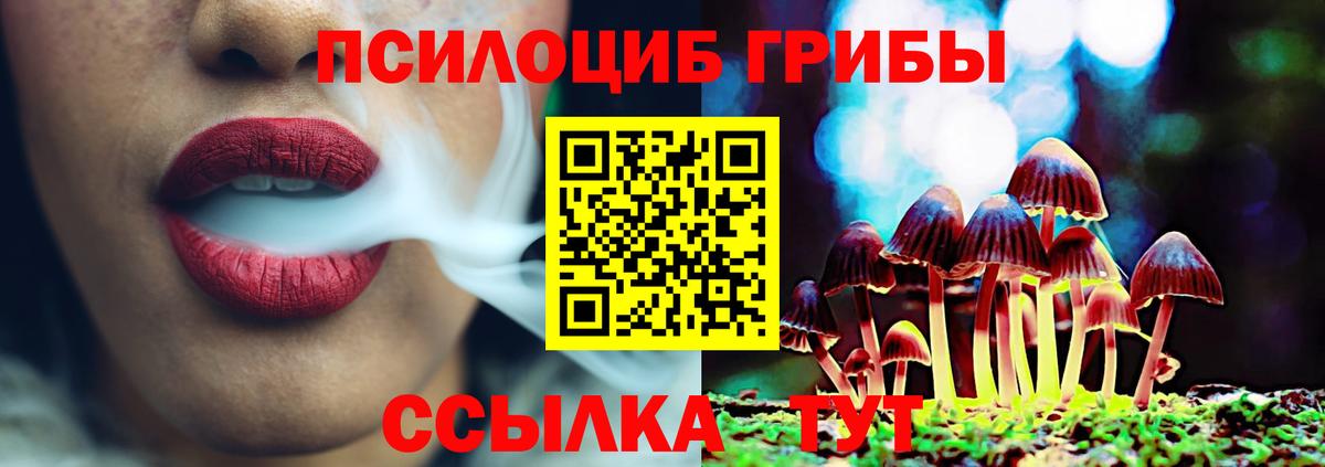 Полысаево  Псилоцибиновые грибы Psilocybe  Вход с VPN 